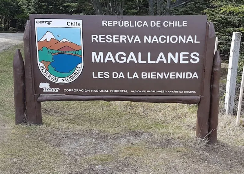 Visitando la Reserva Nacional Magallanes
