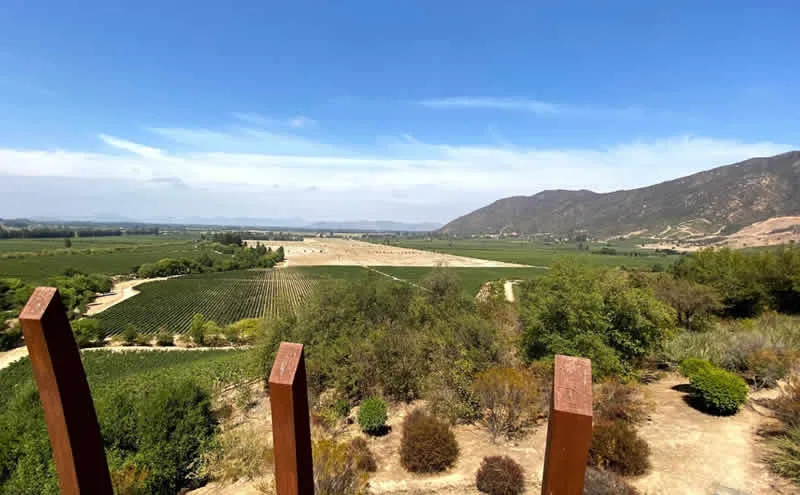 10 bodegas para visitar en Chile (2023)