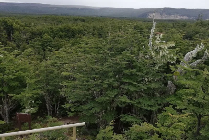 Visiting the Magallanes National Reserve